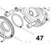 joint_valve_echappement_parilla_reedster