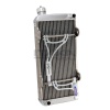 radiateur-new-line-r-max-complet_1