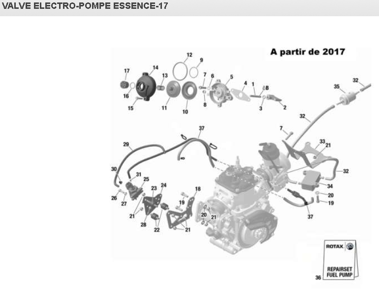 rotax max 125 évo valve essence éclaté renneskart